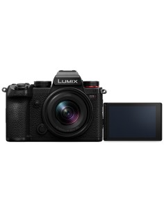 Panasonic Lumix S5D + 18-140 mm F4.5-6.3 2